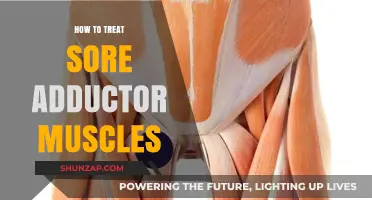 Effective Treatment Strategies for Sore Adductor Muscles: Relief and Recovery Tips
