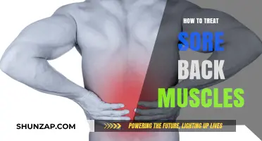 Effective Remedies for Relieving Sore Back Muscles: A Comprehensive Guide