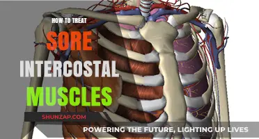 Effective Remedies for Relieving Sore Intercostal Muscles: A Comprehensive Guide