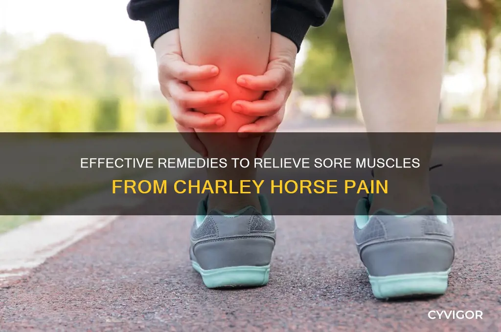 how to treat sore muscle from charley horse