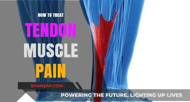 Effective Strategies to Relieve and Heal Tendon Muscle Pain