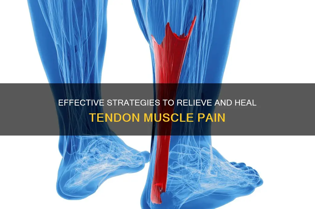 how to treat tendon muscle pain