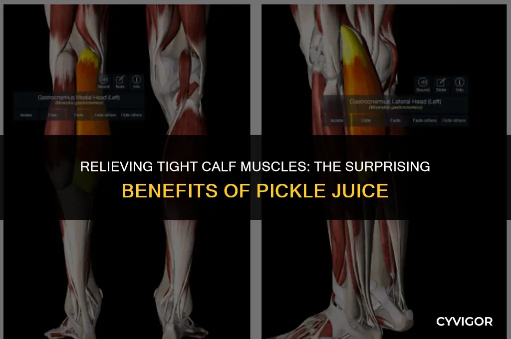 how to treat tight calf muscles pickle juice