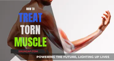 Treating Torn Muscles: Effective Strategies for Recovery