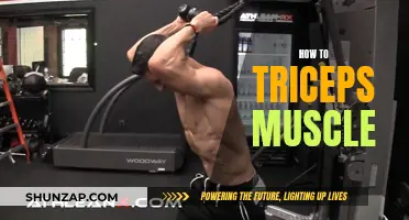 Building Triceps: The Ultimate Guide to Strong Arms