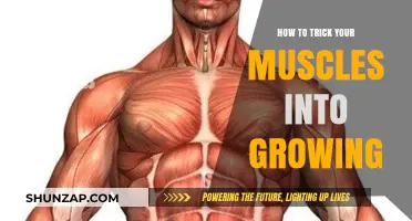 Unlock Muscle Growth: Smart Techniques to Trick Your Muscles into Growing