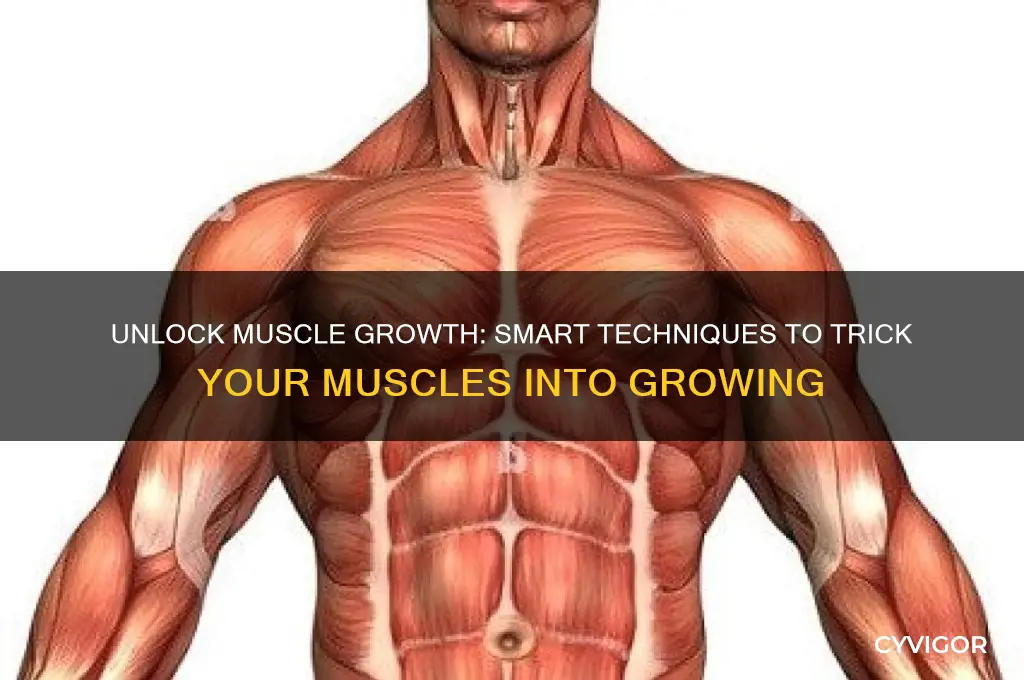 how to trick your muscles into growing