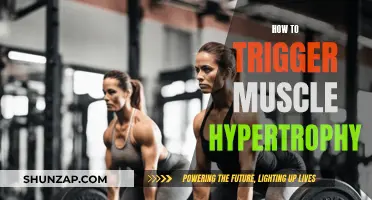 Triggering Muscle Hypertrophy: The Ultimate Guide to Growth