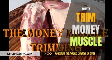 Trimming Money Muscle: A Step-by-Step Guide to Mastery