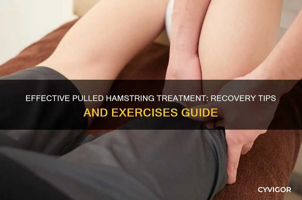 how to trwat a pulled hamstring muscle