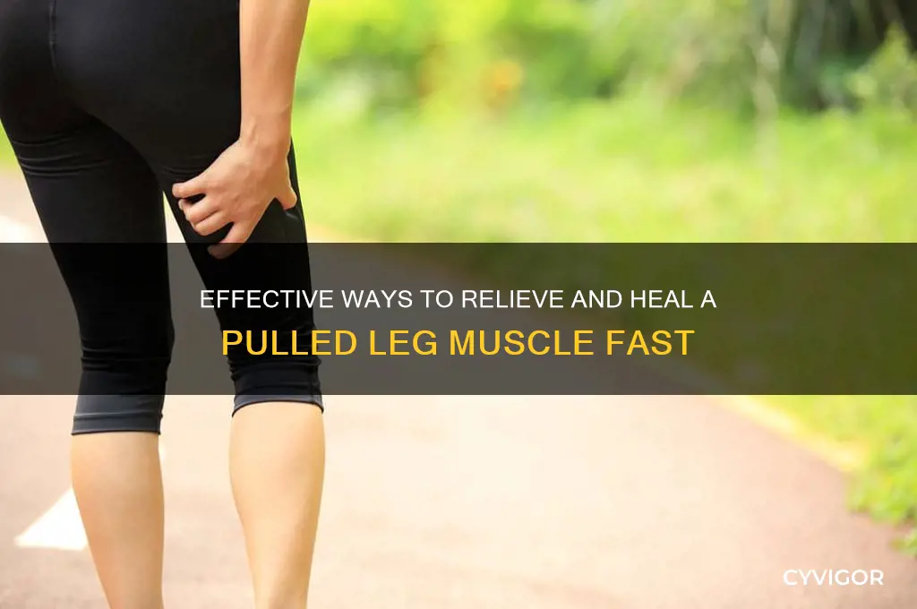 how to un pull a muscle in your leg