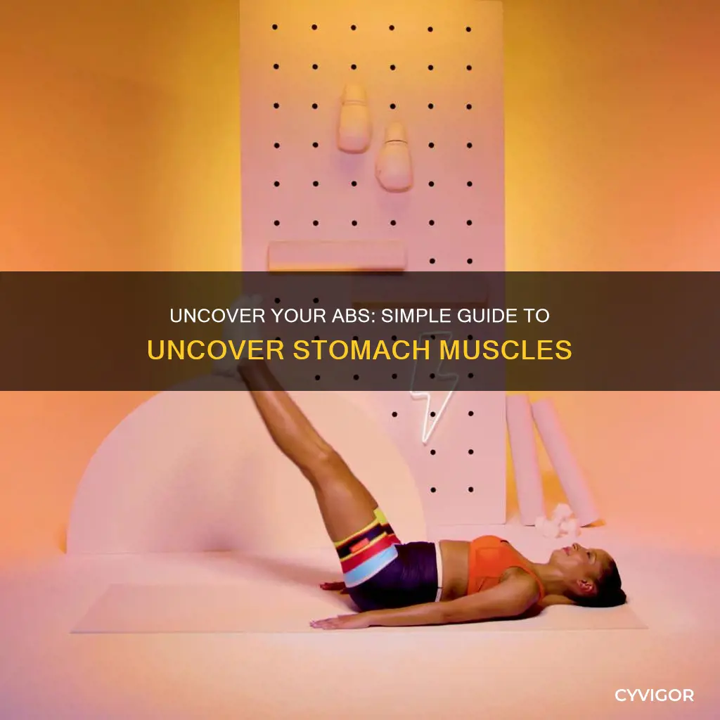 how to ungulate stomach muscles
