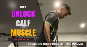 Unleashing Your Calf Muscles: A Guide to Strength and Flexibility