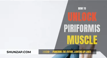 Unlocking the Piriformis Muscle: Techniques for Release and Mobility