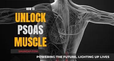 Unlocking the Psoas Muscle: Techniques for Release and Relaxation