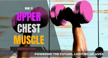 Building a Stronger Upper Chest: Muscle-Focused Strategies