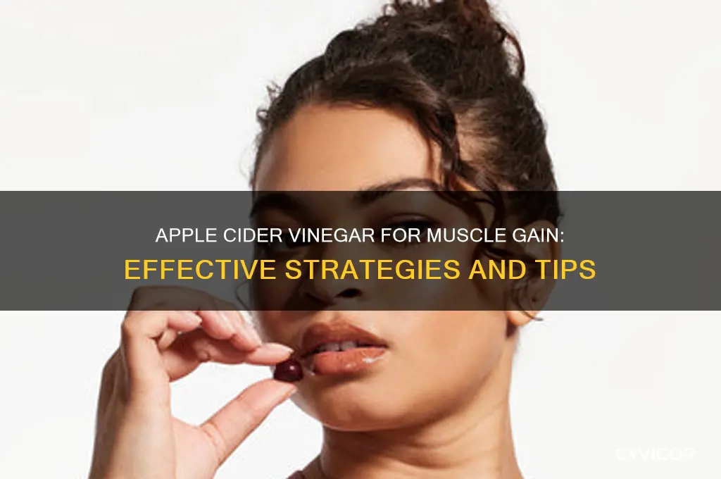 how to use apple cider vinegar to gain muscle