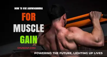 Boost Muscle Growth: Ashwagandha's Role in Strength Training