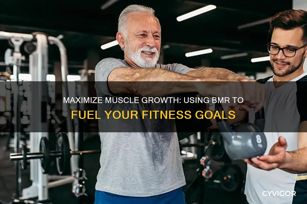 how to use bmr to gain muscle