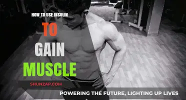 Maximize Muscle Growth: Effective Insulin Strategies for Bodybuilding Success