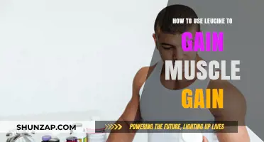 Maximize Muscle Growth: Effective Leucine Strategies for Strength and Size