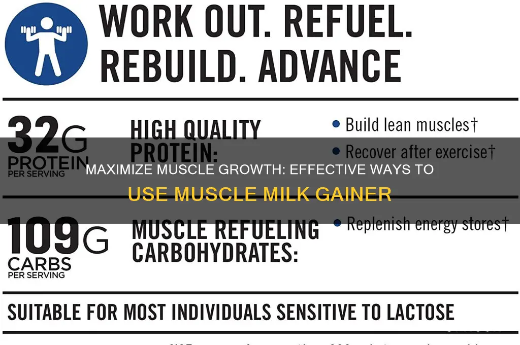 how to use muscle milk gainer