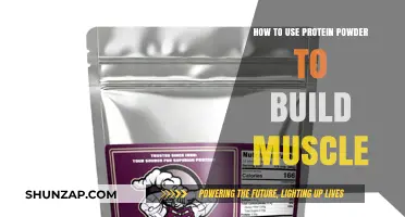 Maximize Your Muscle Gains: The Ultimate Guide to Protein Powder