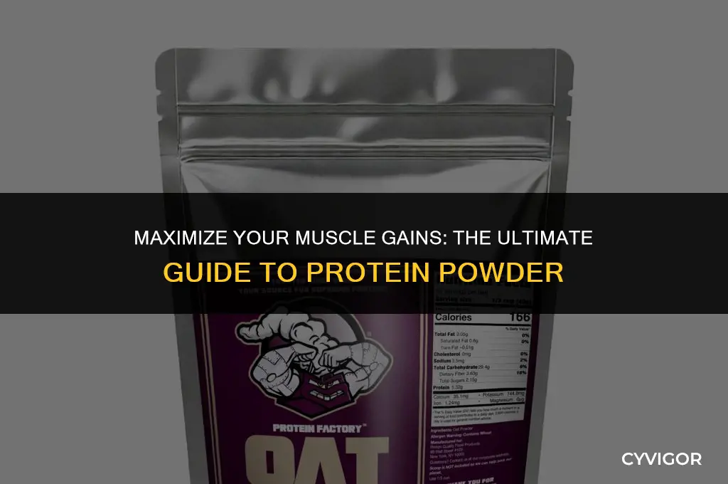 how to use protein powder to build muscle