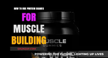 Protein Power: Fueling Your Muscle-Building Journey with Shakes