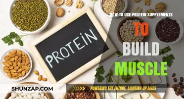 Maximize Your Muscle Gains: A Guide to Protein Supplements