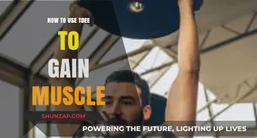Maximize Muscle Growth: Mastering TDEE for Effective Mass Building