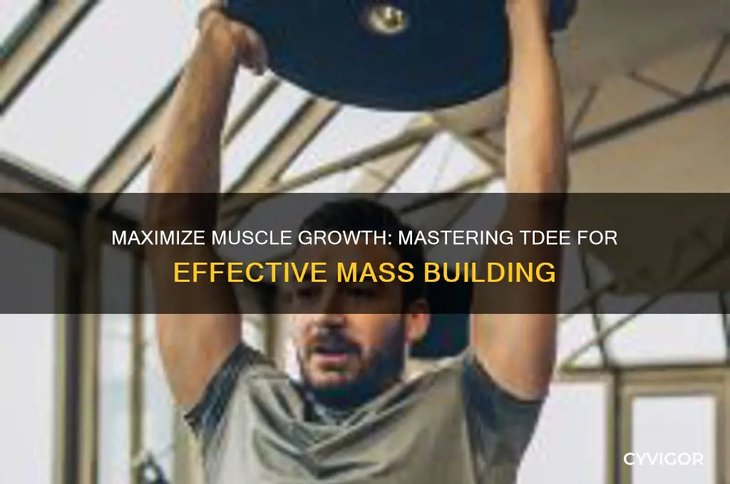how to use tdee to gain muscle