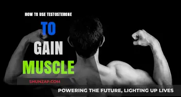 Maximize Muscle Growth: Effective Testosterone Strategies for Strength Training