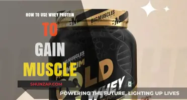 Maximize Muscle Growth: Effective Whey Protein Strategies for Strength Gains