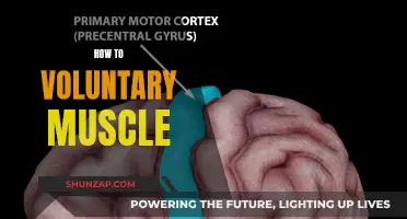 Mastering the Art of Voluntary Muscle Control