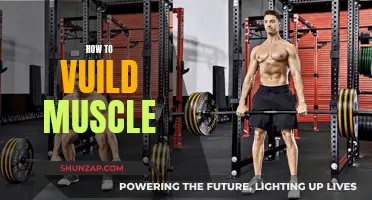 Building Muscle: Effective Strategies for Strength and Growth