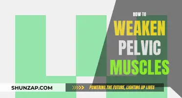 Weakening Pelvic Muscles: Strategies and Techniques for Relaxation