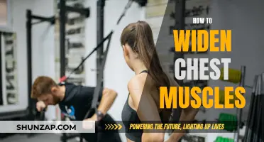 Building a Broader Chest: Targeting Muscles for a Wider Frame
