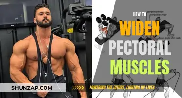 Building a Powerful Chest: Widening Your Pectoral Muscles