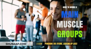Effective Workouts to Target and Strengthen All Major Muscle Groups