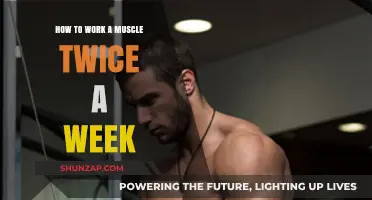 Maximize Muscle Growth: Effective Strategies for Twice-Weekly Training