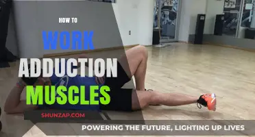Effective Adduction Muscle Workouts: Strengthen Inner Thighs and Hips Easily