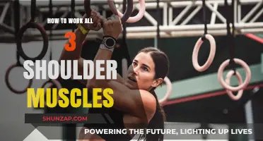 Effective Shoulder Workouts: Targeting All Three Muscles for Strength and Balance
