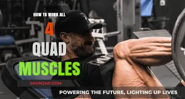 Effective Quad Workouts: Targeting All Four Muscles for Strength and Balance
