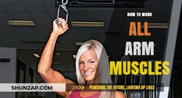 Effective Arm Workouts: Targeting Biceps, Triceps, and Forearms for Strength