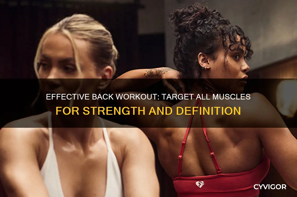 how to work all back muscles