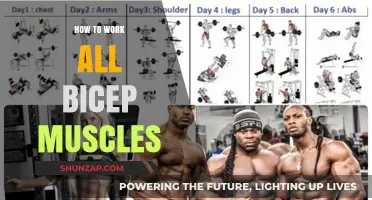Maximize Bicep Growth: Target All Muscles with These Effective Techniques