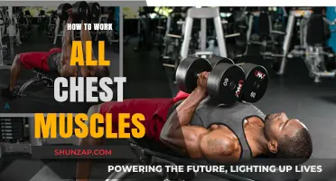 Maximize Chest Growth: Targeting All Muscles for a Complete Workout