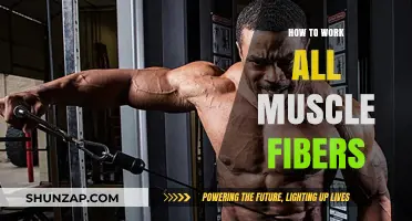 Maximize Muscle Growth: Targeting All Muscle Fibers Effectively