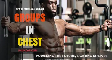 Effective Chest Workouts: Targeting All Muscle Groups for Maximum Results